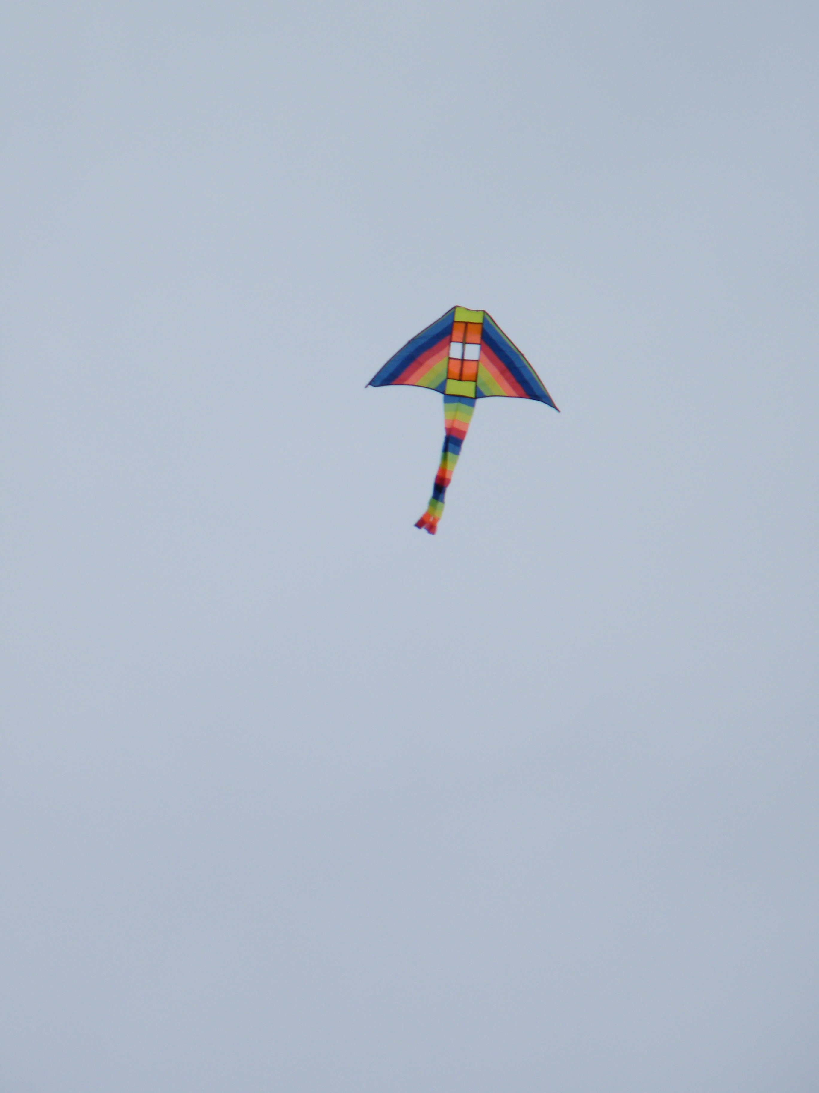 DSCF0119